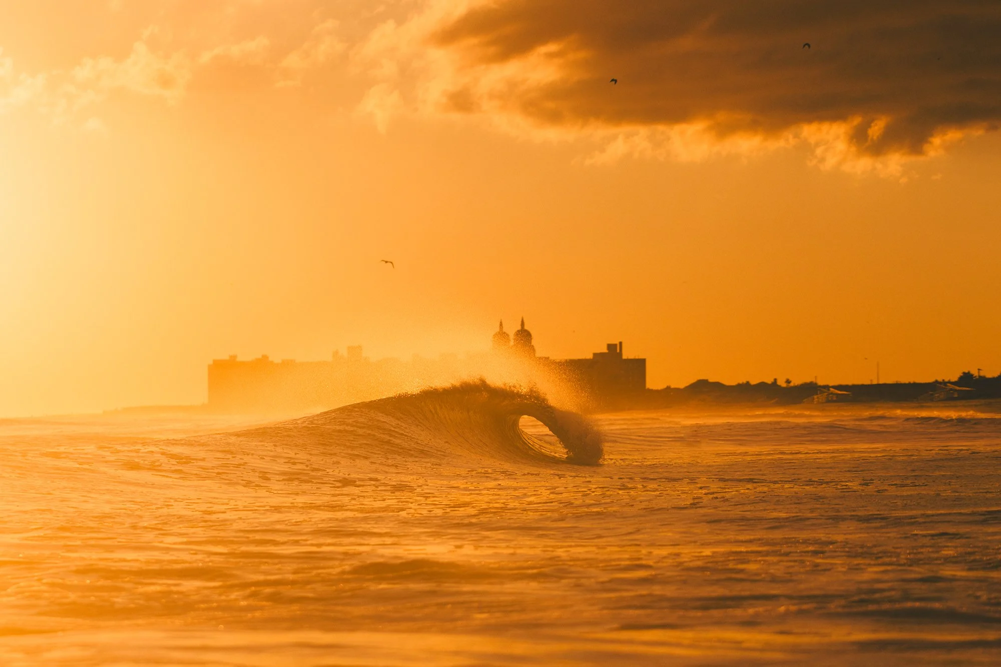 MATT6206 copy (2) copy.jpg