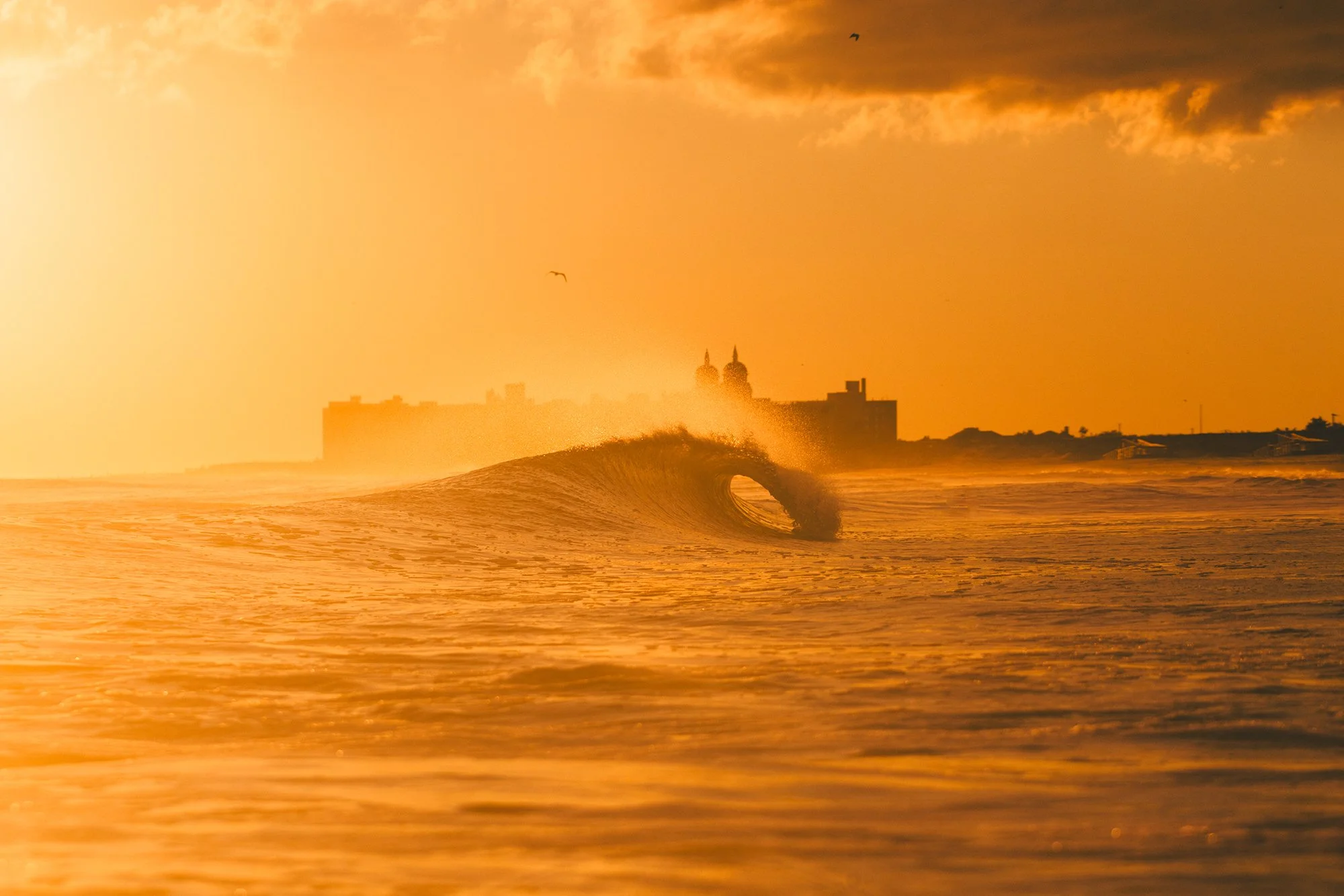 MATT6206 copy (1) copy.jpg