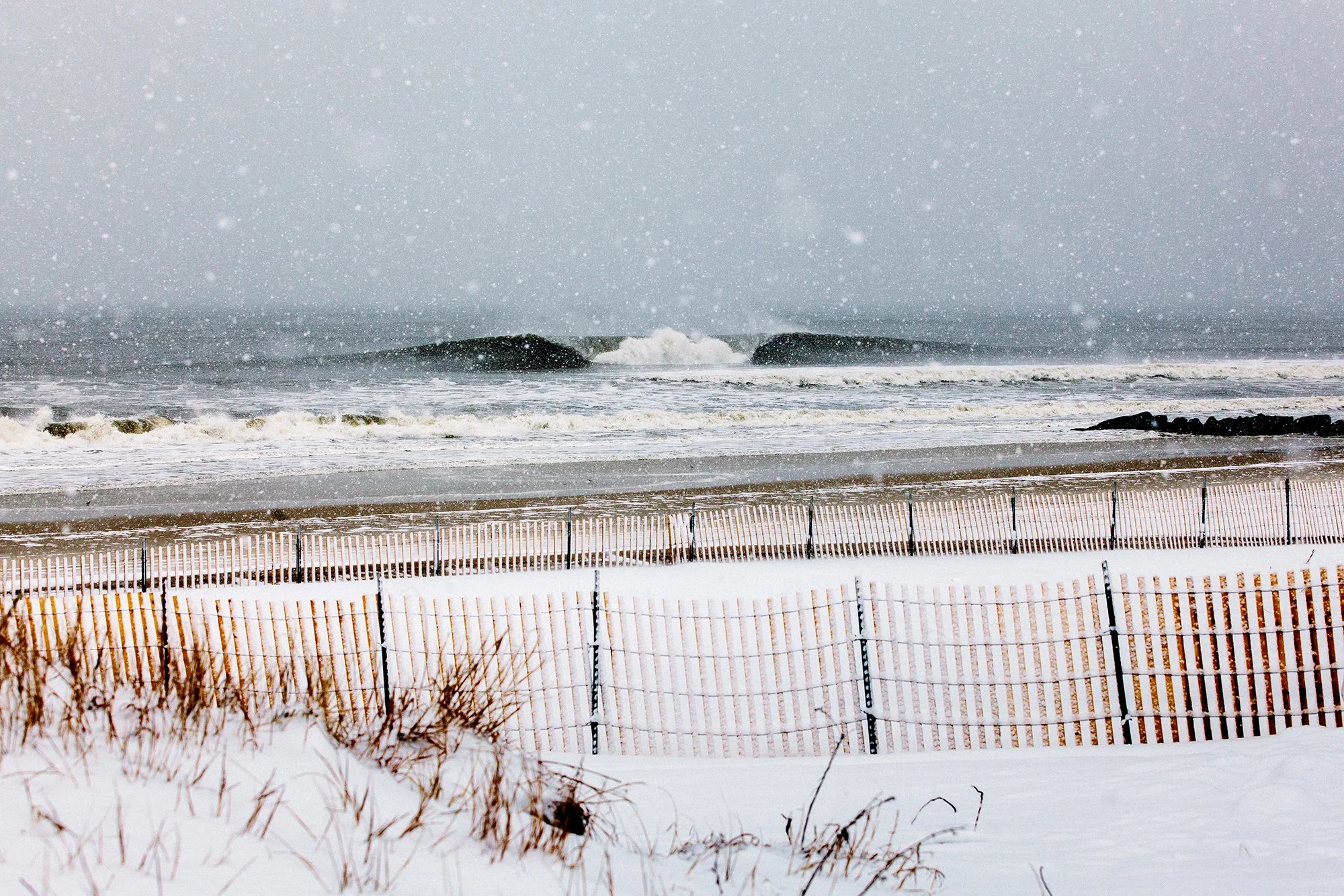 IMG_3185 (1) copy.jpg