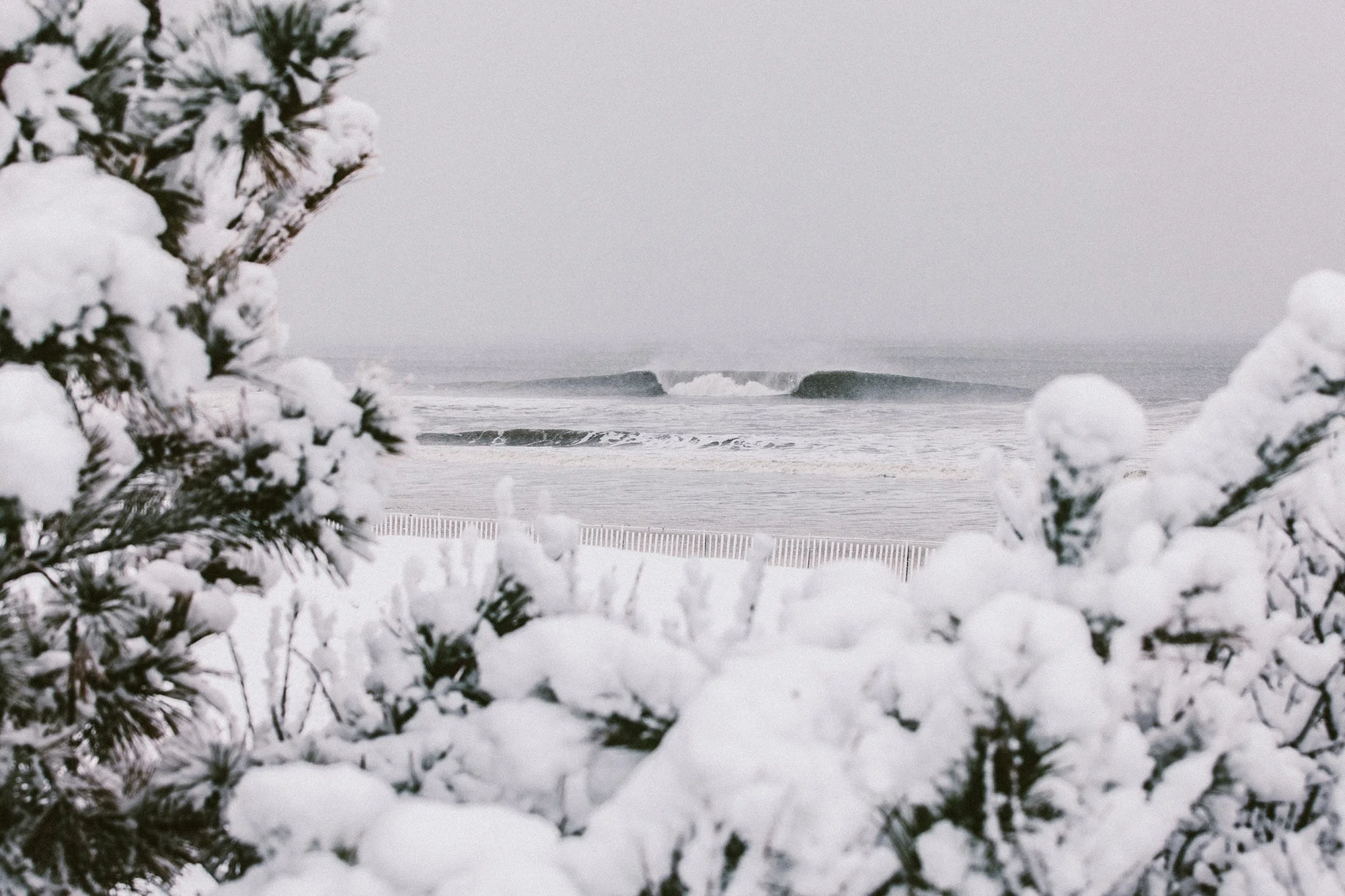 IMG_3020 (1) copy.jpg