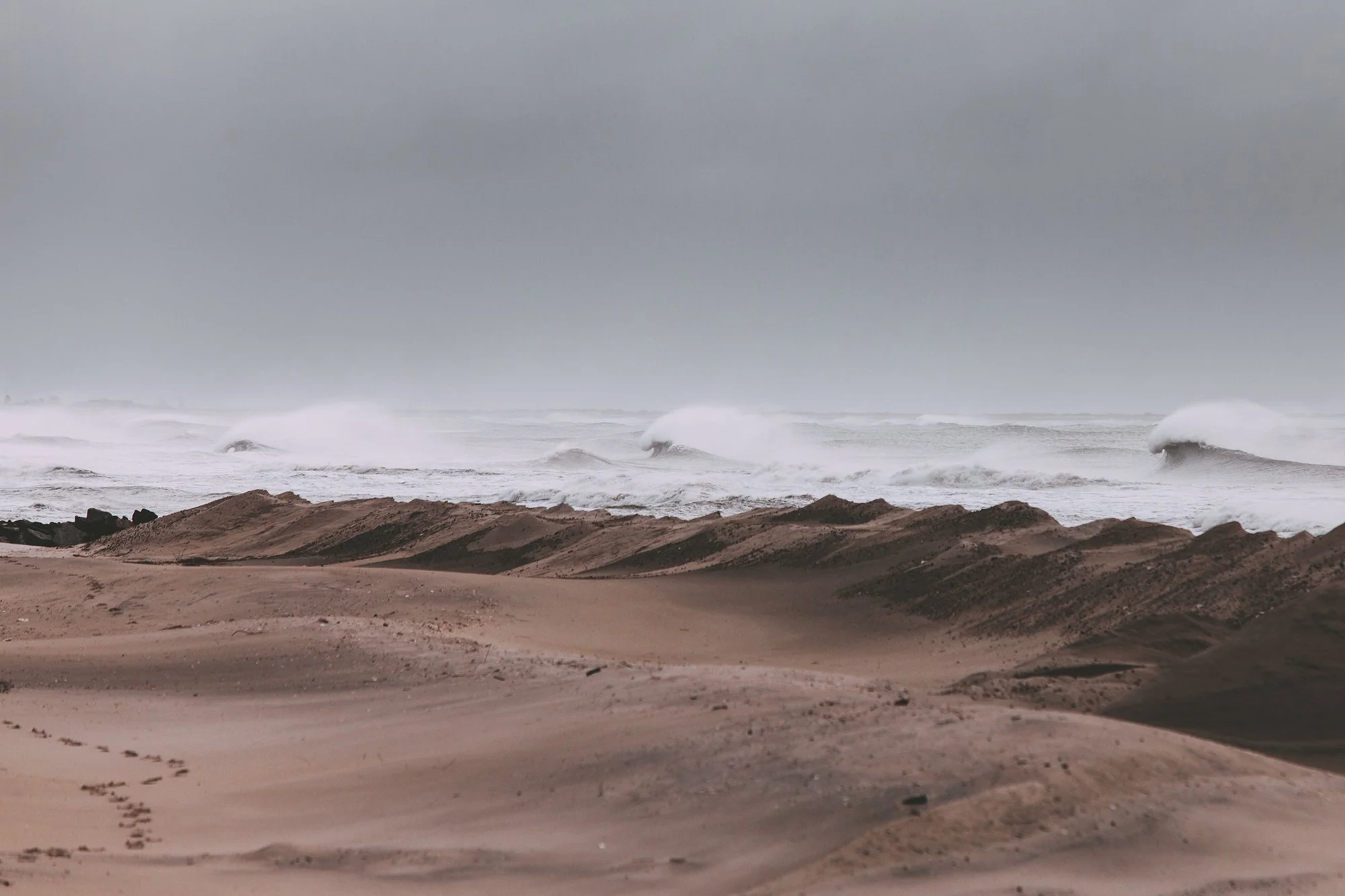 IMG_2139 (1) copy.jpg