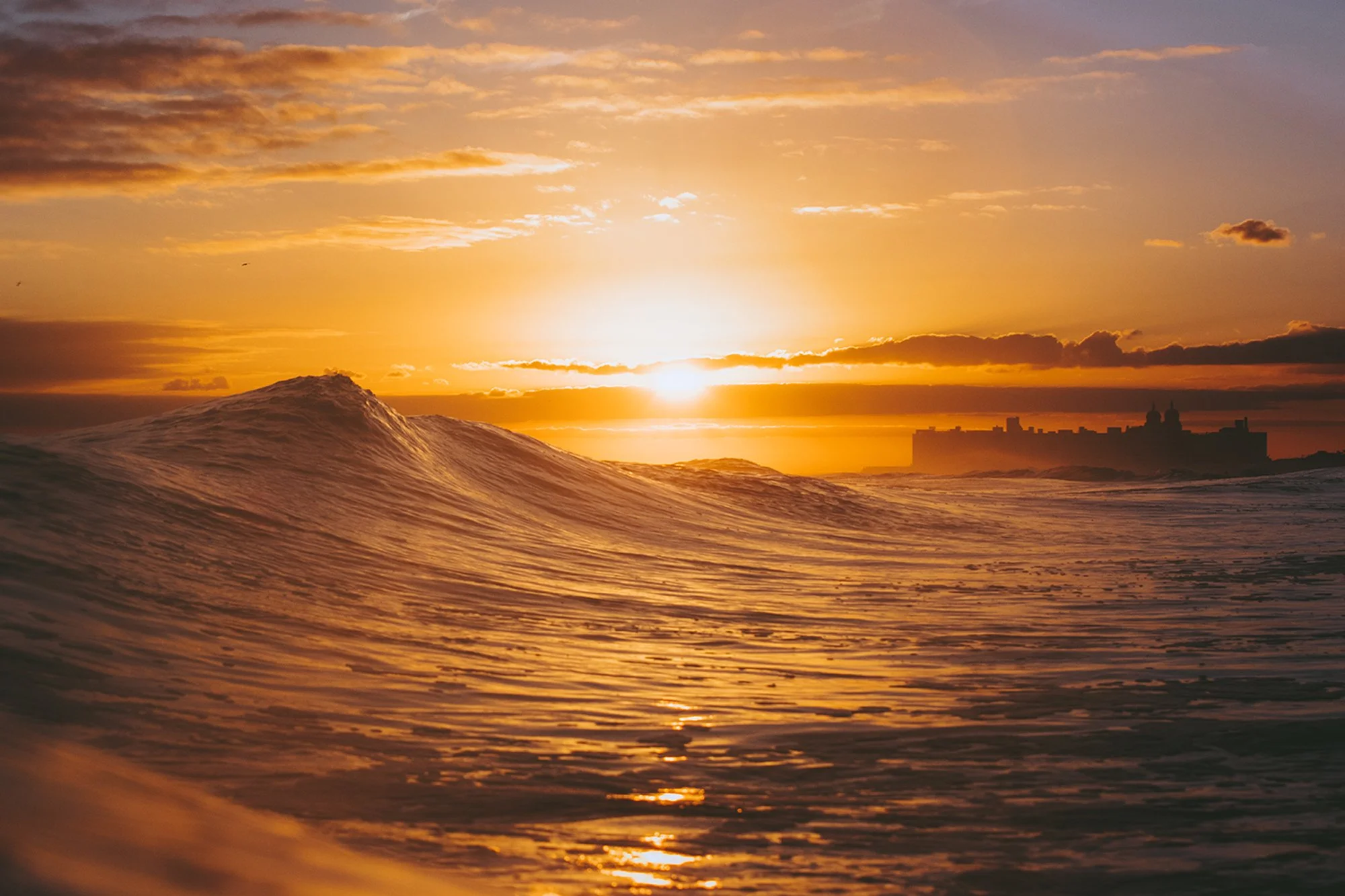 254A9739 (1) copy.jpg