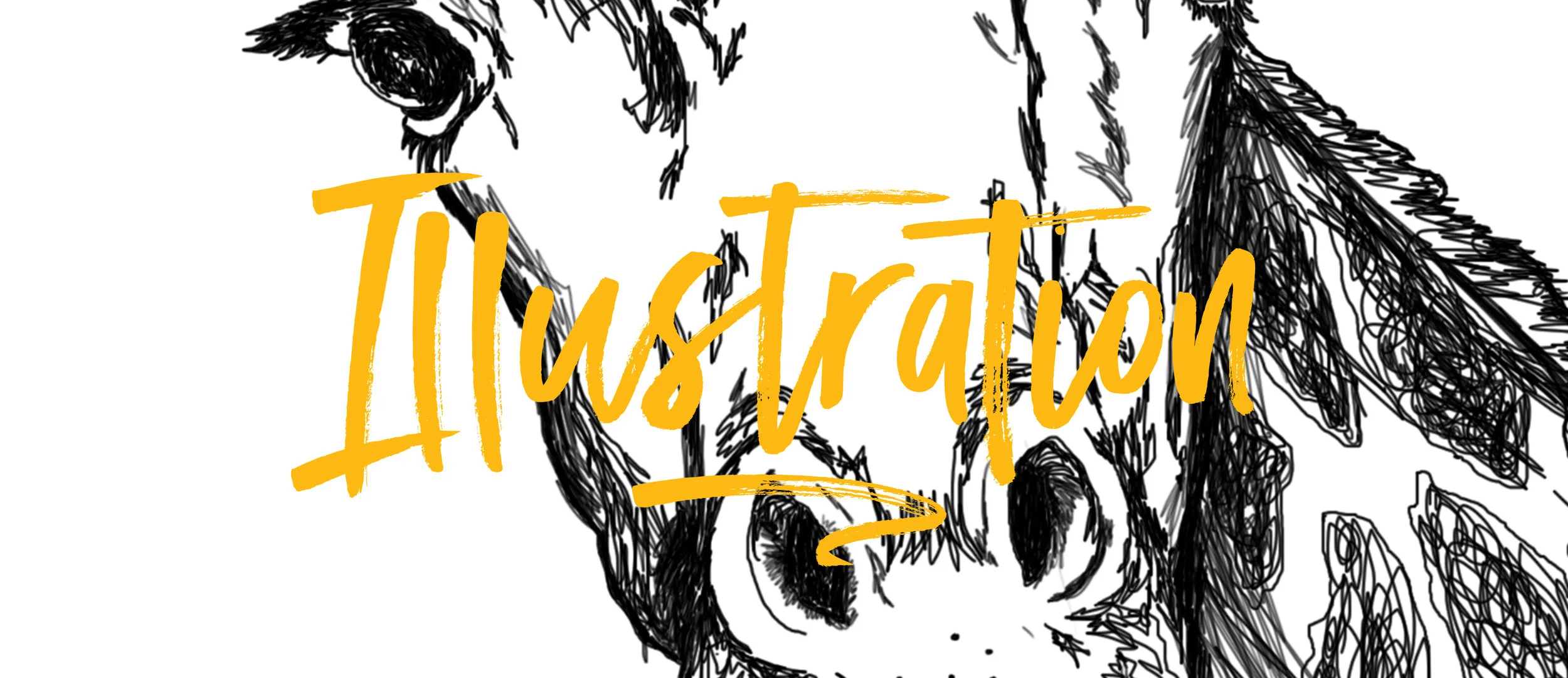 illustration_banner.jpg