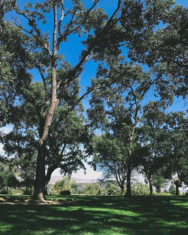 Sunny Sunday afternoon in wine country 🥂
