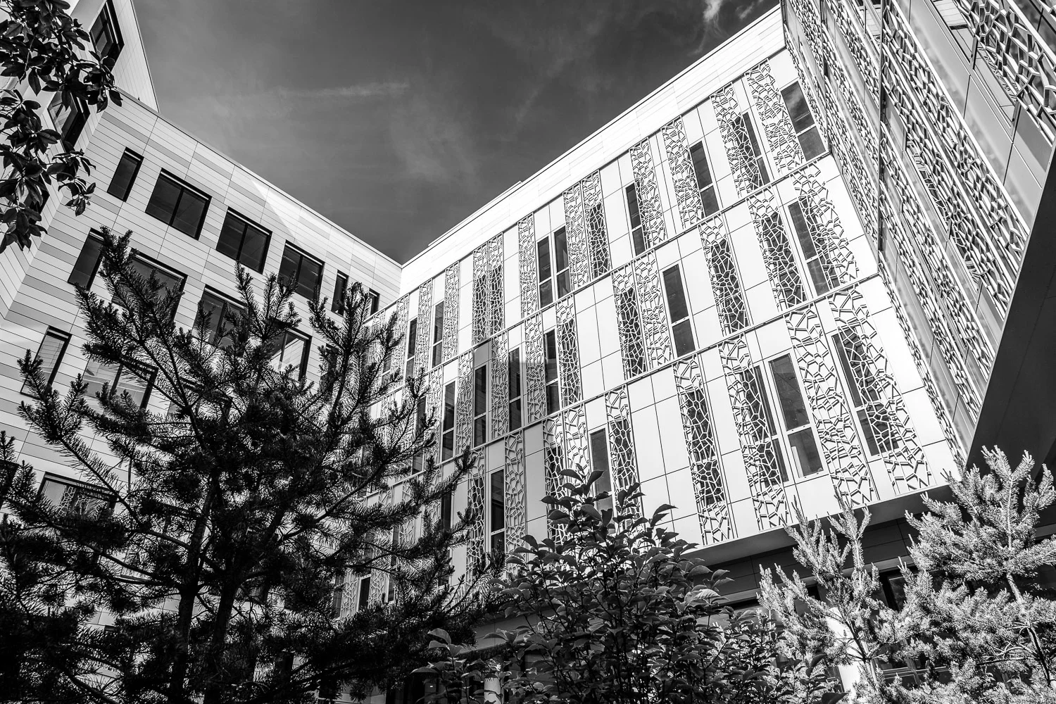2015-06-04, 3-5 Avenue de Friedland-2.jpg