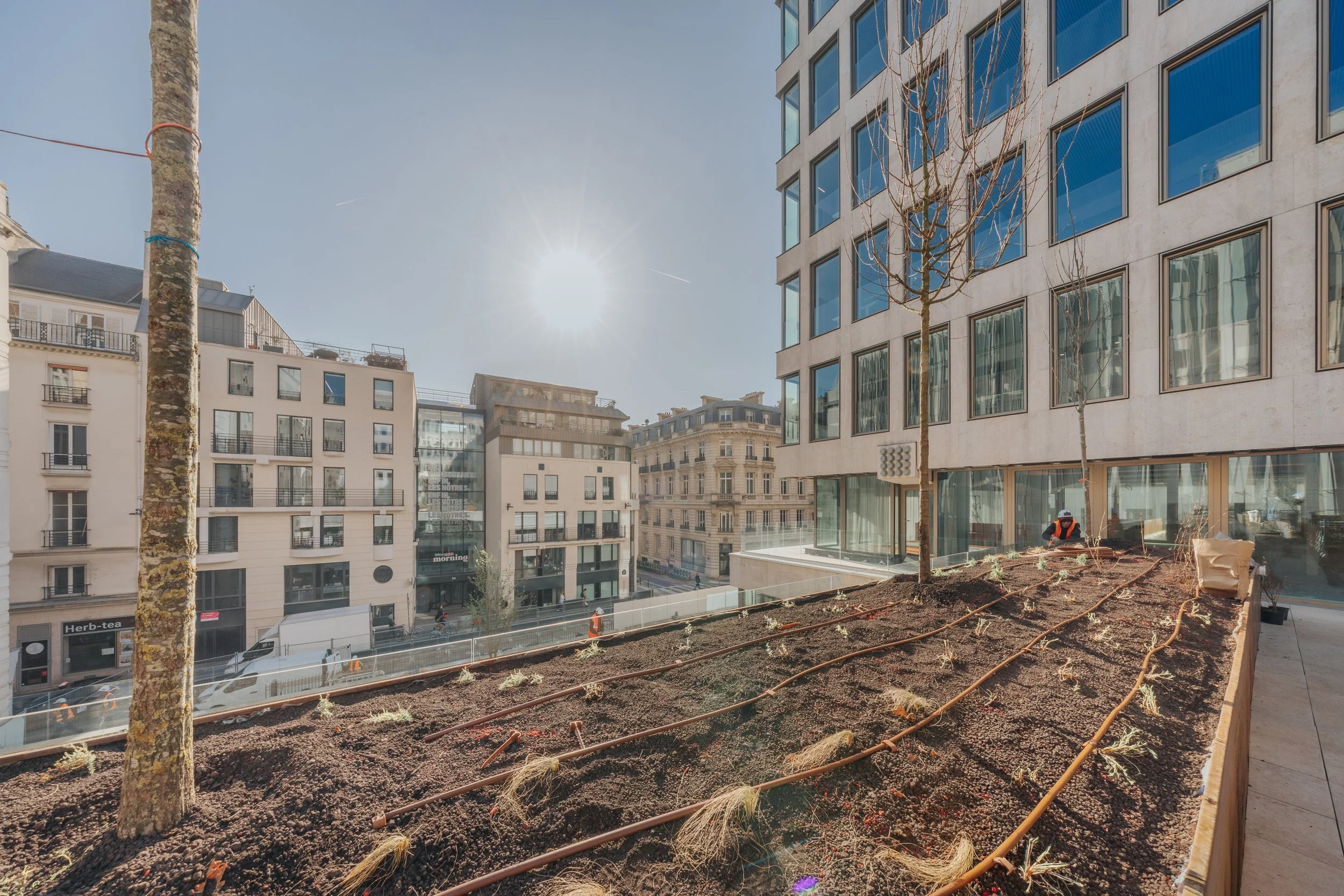 2026-03-19, 21 rue Laffitte-74.jpg