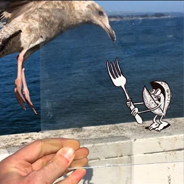 HOUSE/guest Hombre McSteez