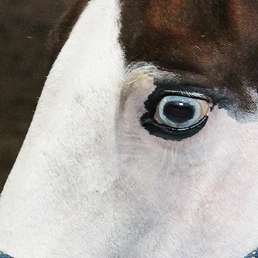 My Summer Vacation: 85 Miles South