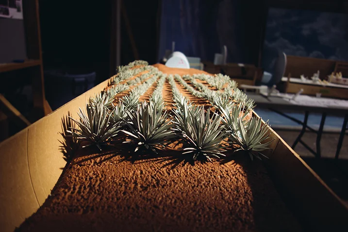 Jose Cuervo - Photo Gallery