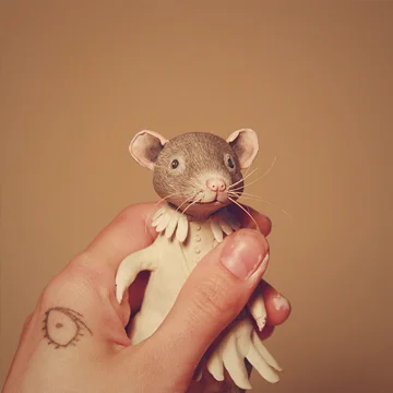 HOUSE/guest Maryanna Hoggatt