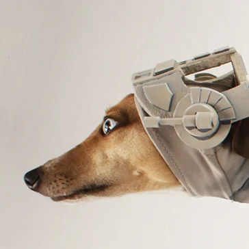 Meet Bones, the famous AT-AT