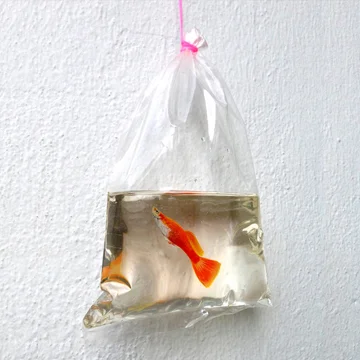 The incredible resin paintings of Keng Lye