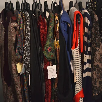 portland flea