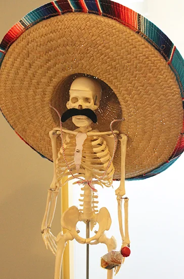 jose_skeleton