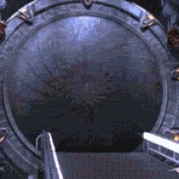OrnateDirectAfricanaugurbuzzard-size_restricted.gif