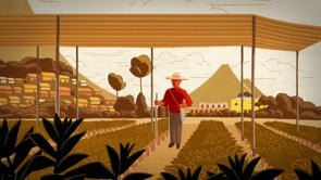 Peet's Coffee Sourcing With Impact