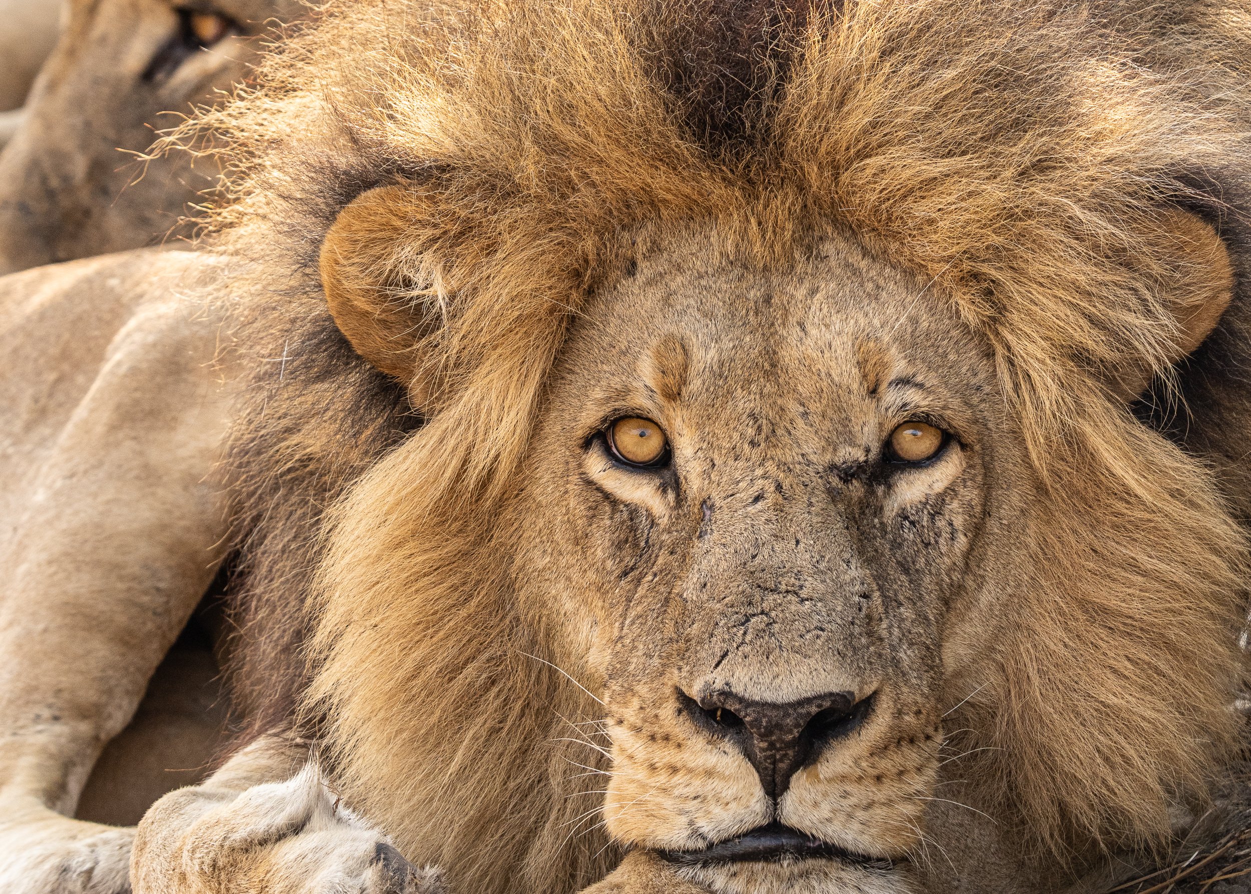 001_Botswana 1435.jpg