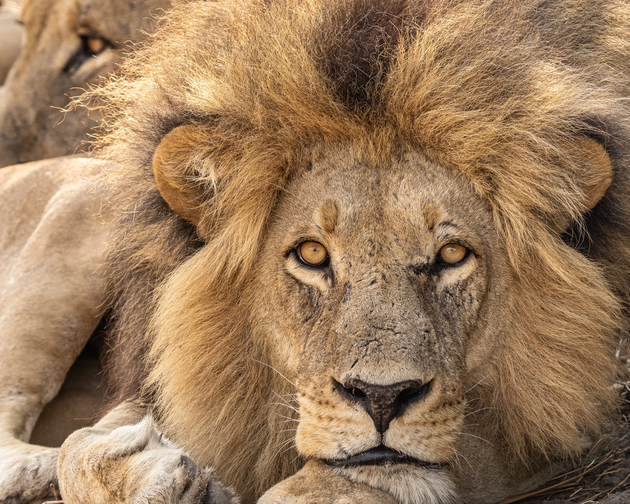 002_Botswana 1435.jpg