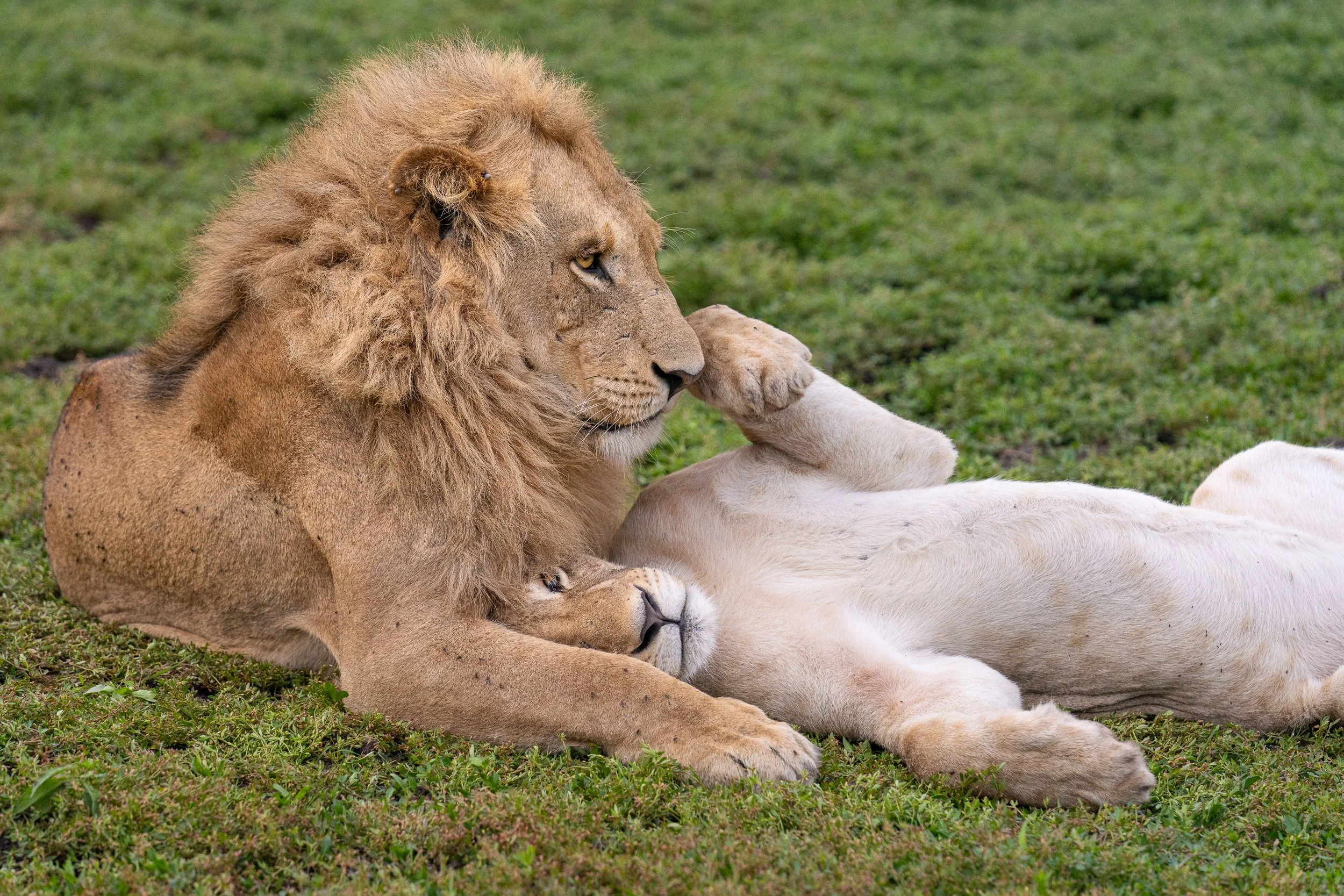 014_Botswana 4468.jpg