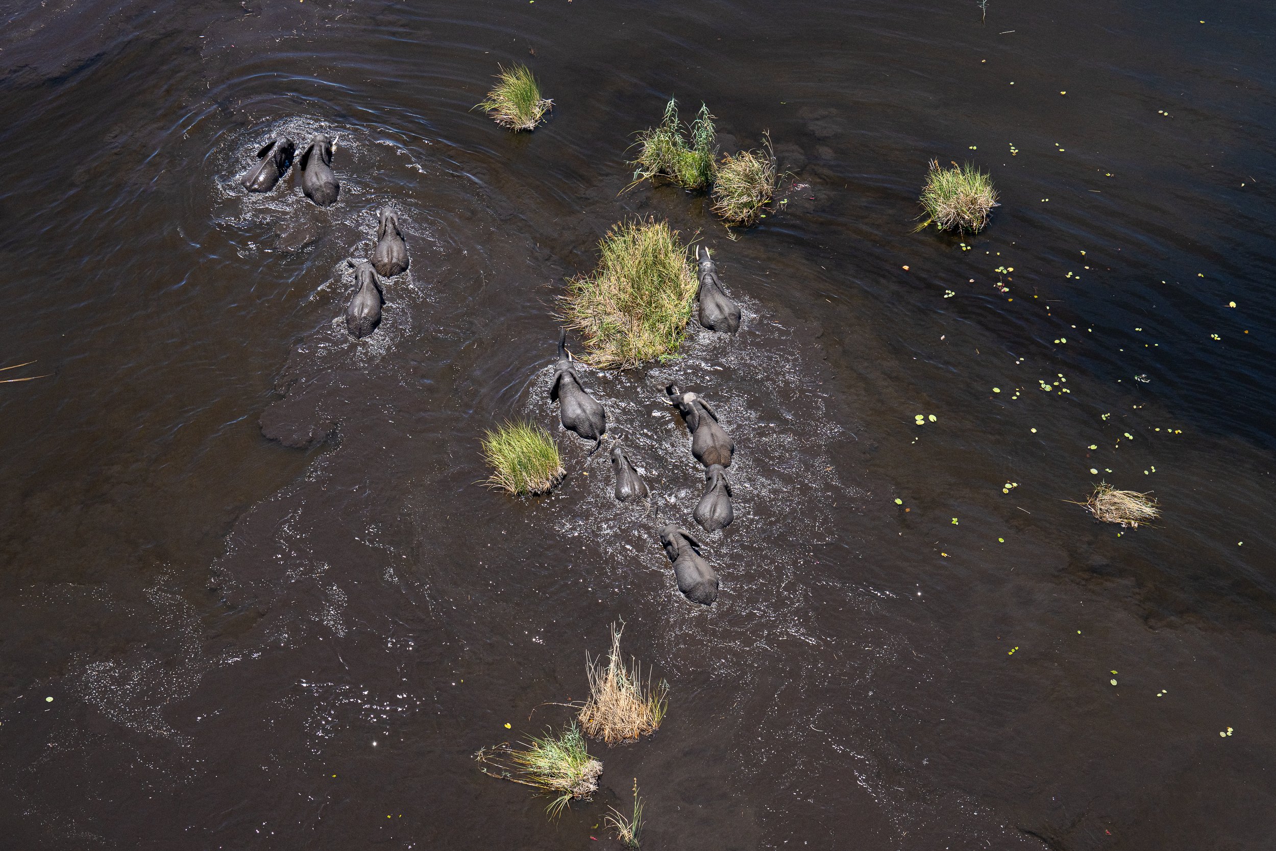 020_Botswana 4910.jpg