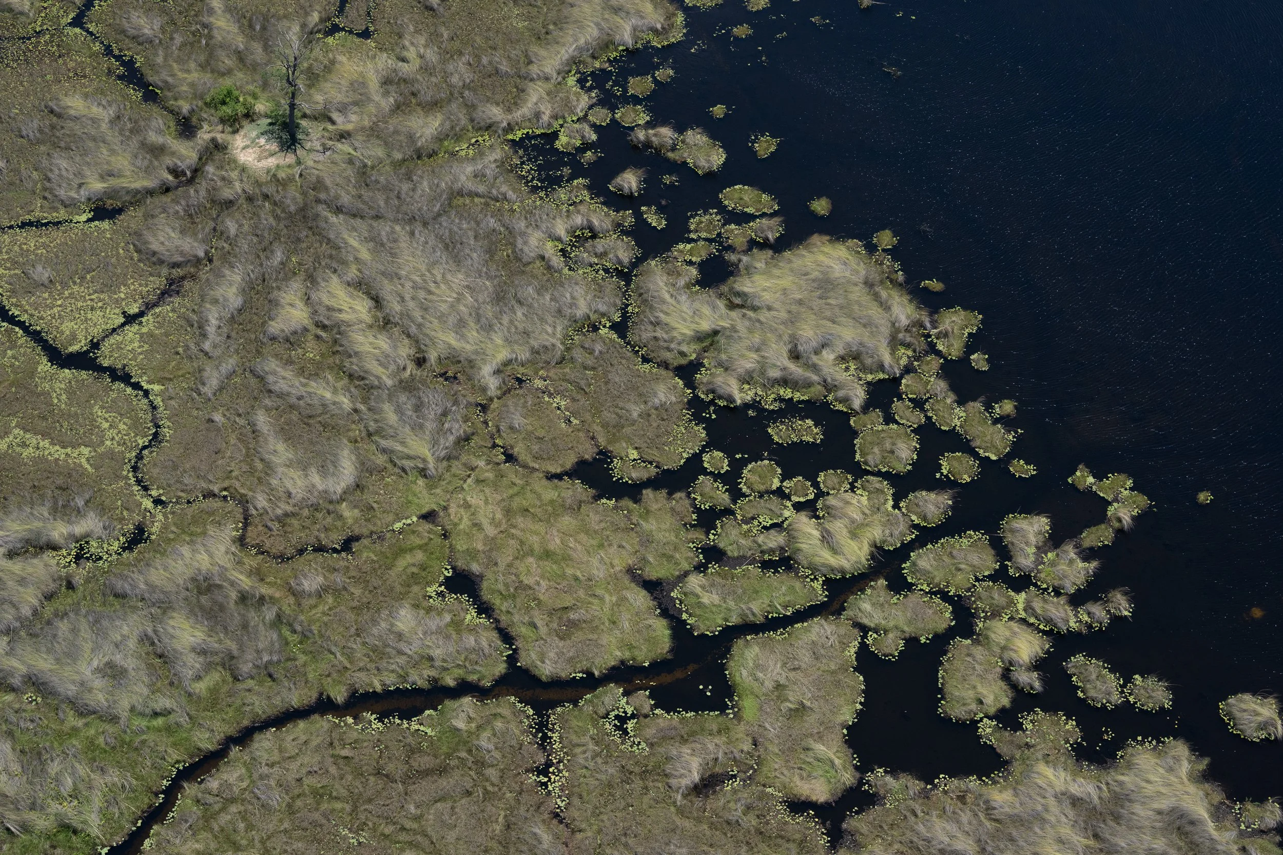 018_Botswana 8980.jpg