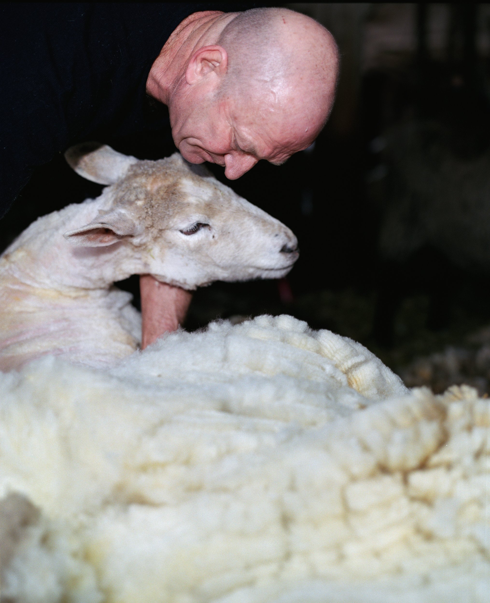 003_man and animal-Edit-2.jpg