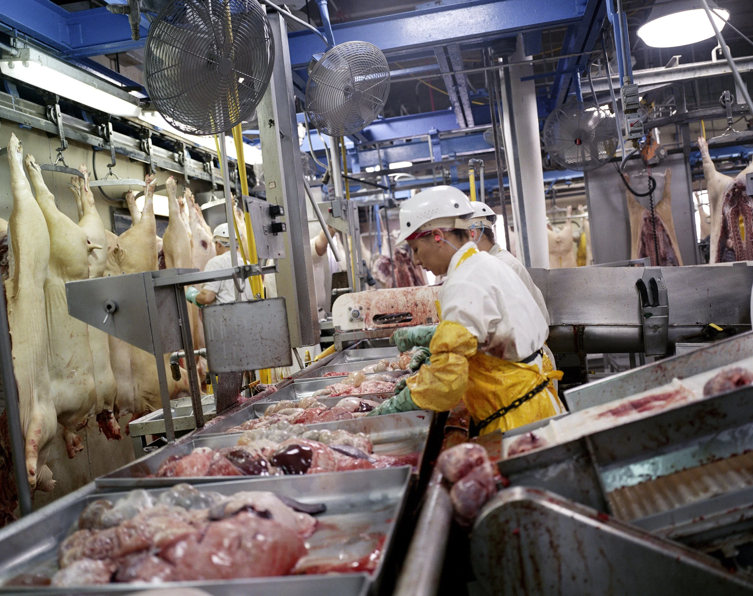 009_Sioux line up v1.jpg