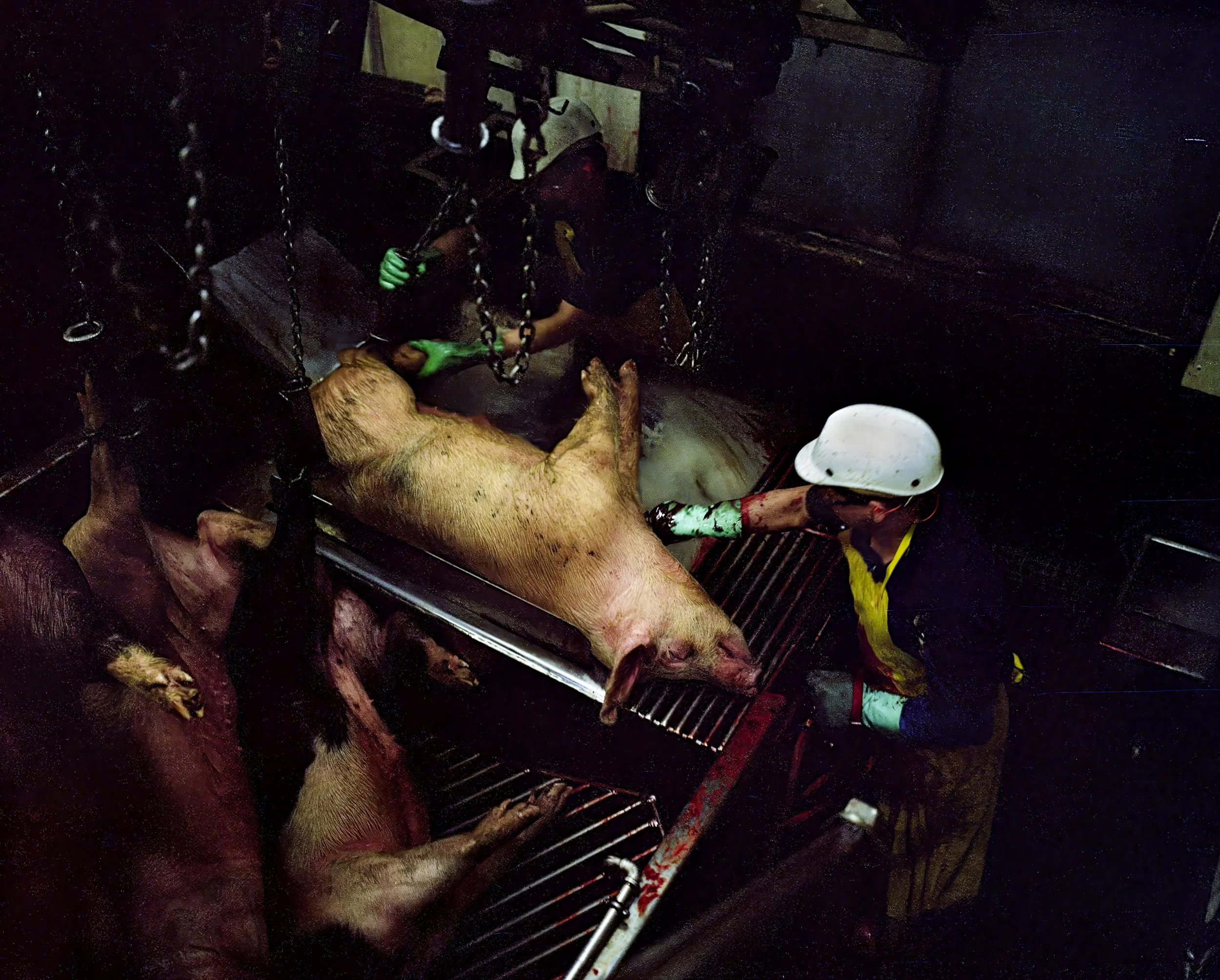 011_Aerial knife in throat v2-2.jpg