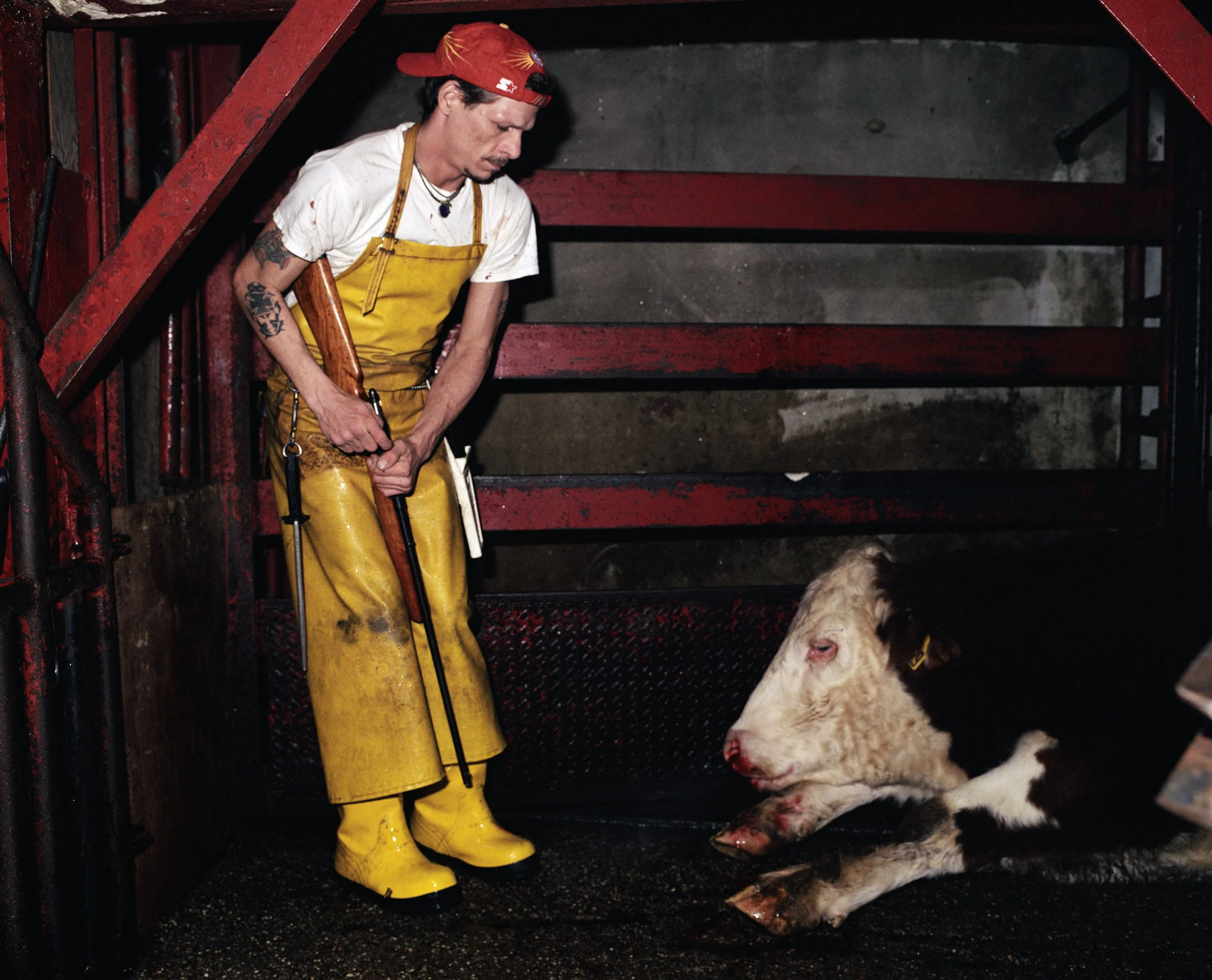 012_after the kill II v1.jpg