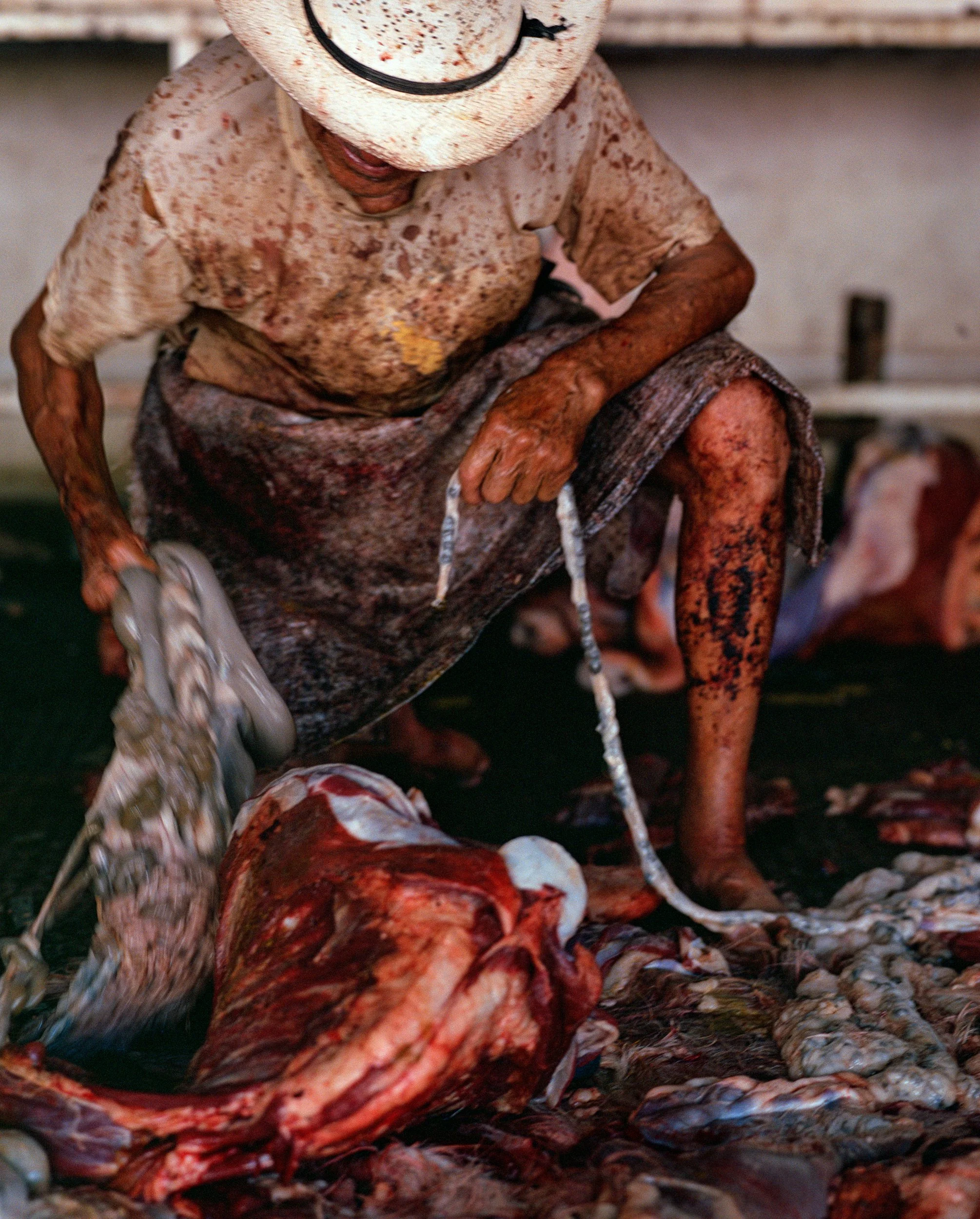 016_old man and intestines v1.jpg