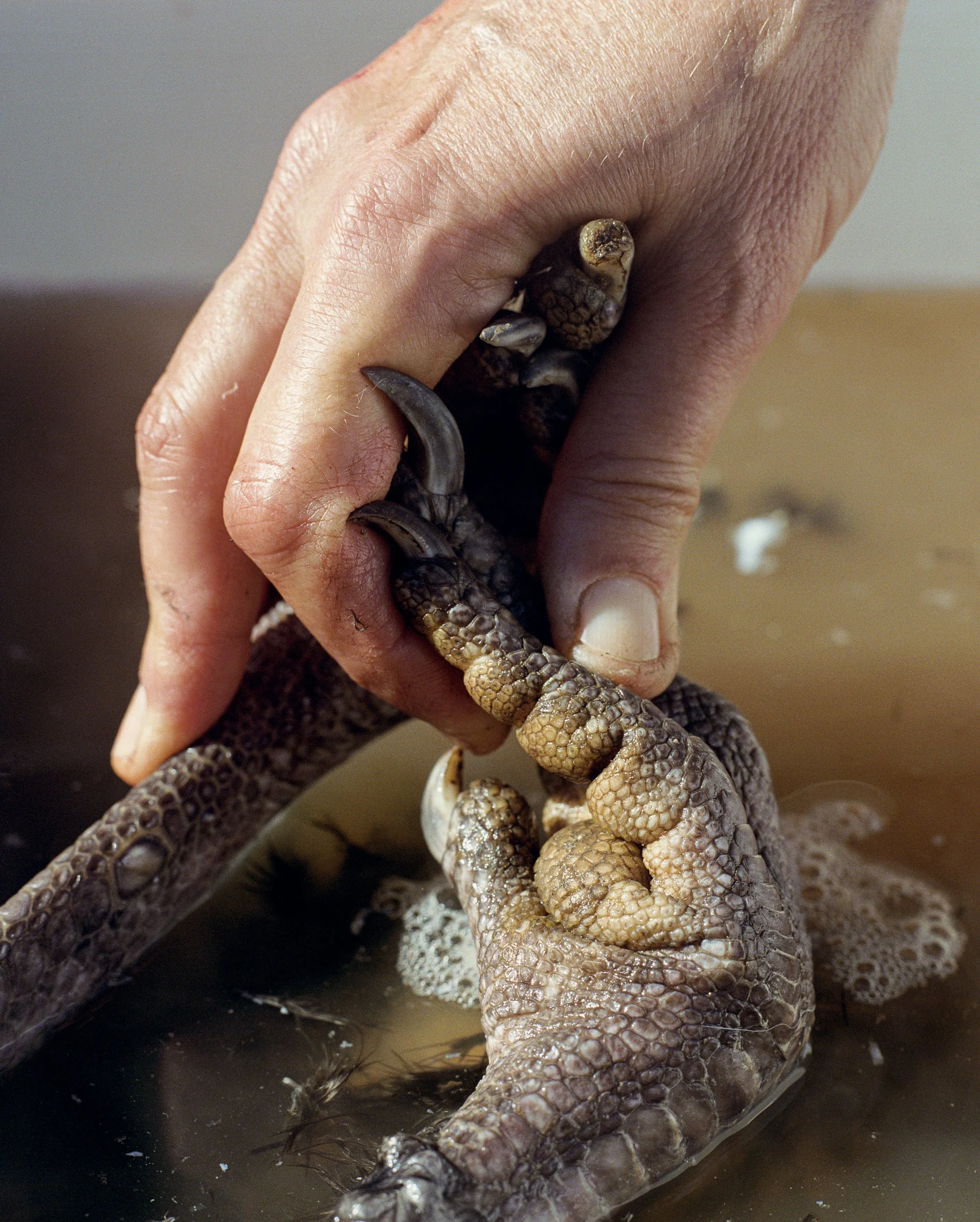 017_hand and foot.jpg