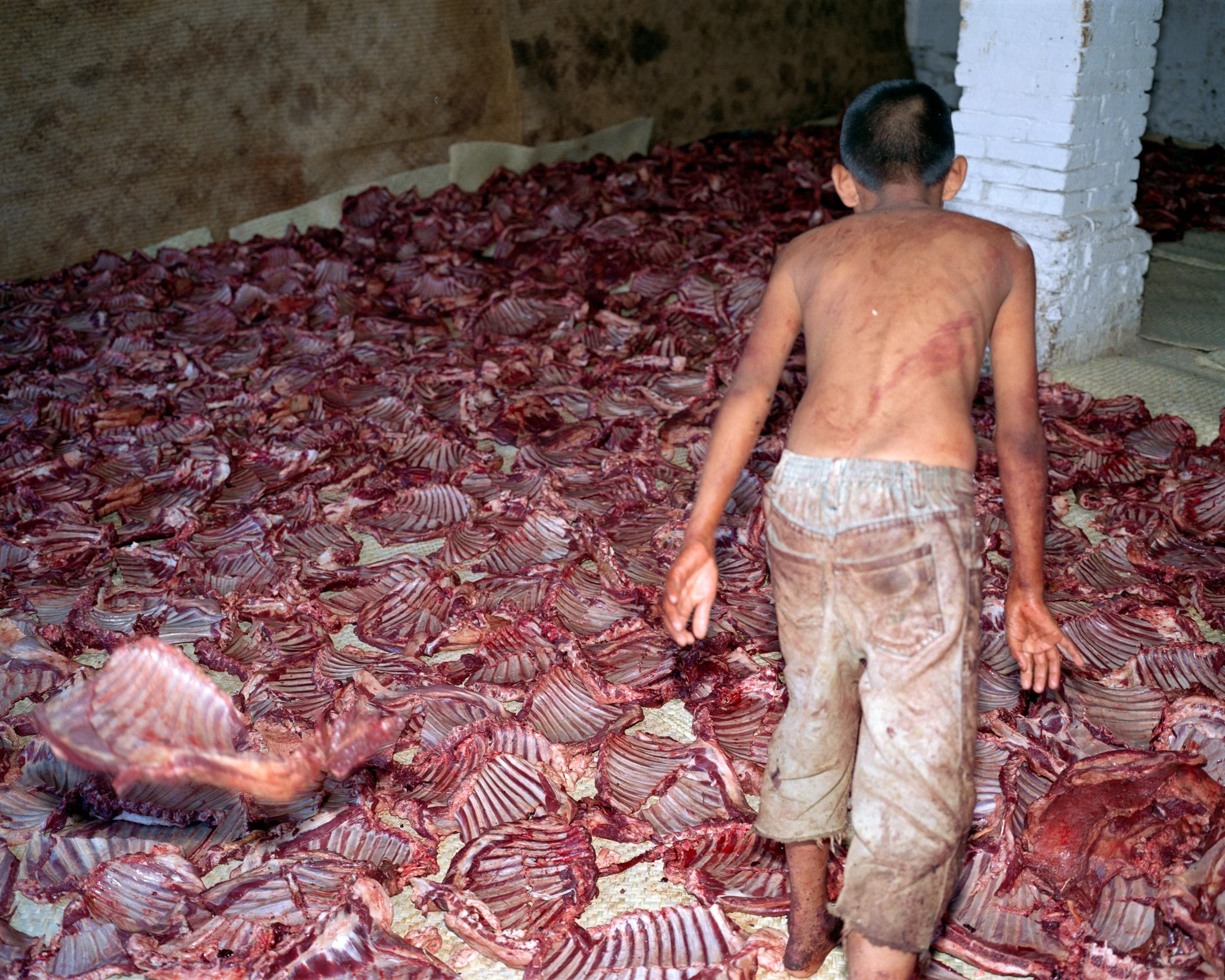 018_diving into ribs v1.jpg