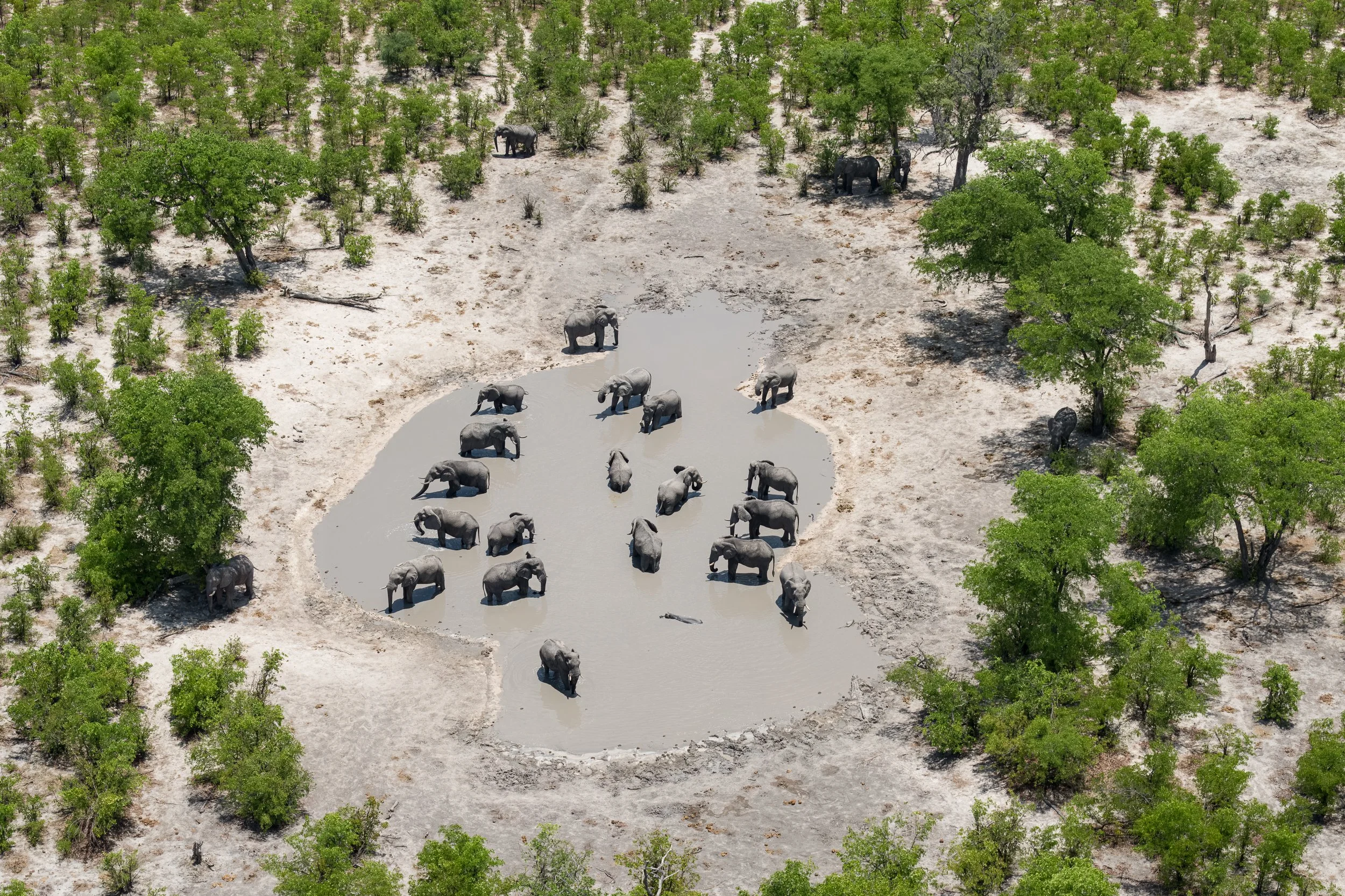 001_Botswana 8900.jpg