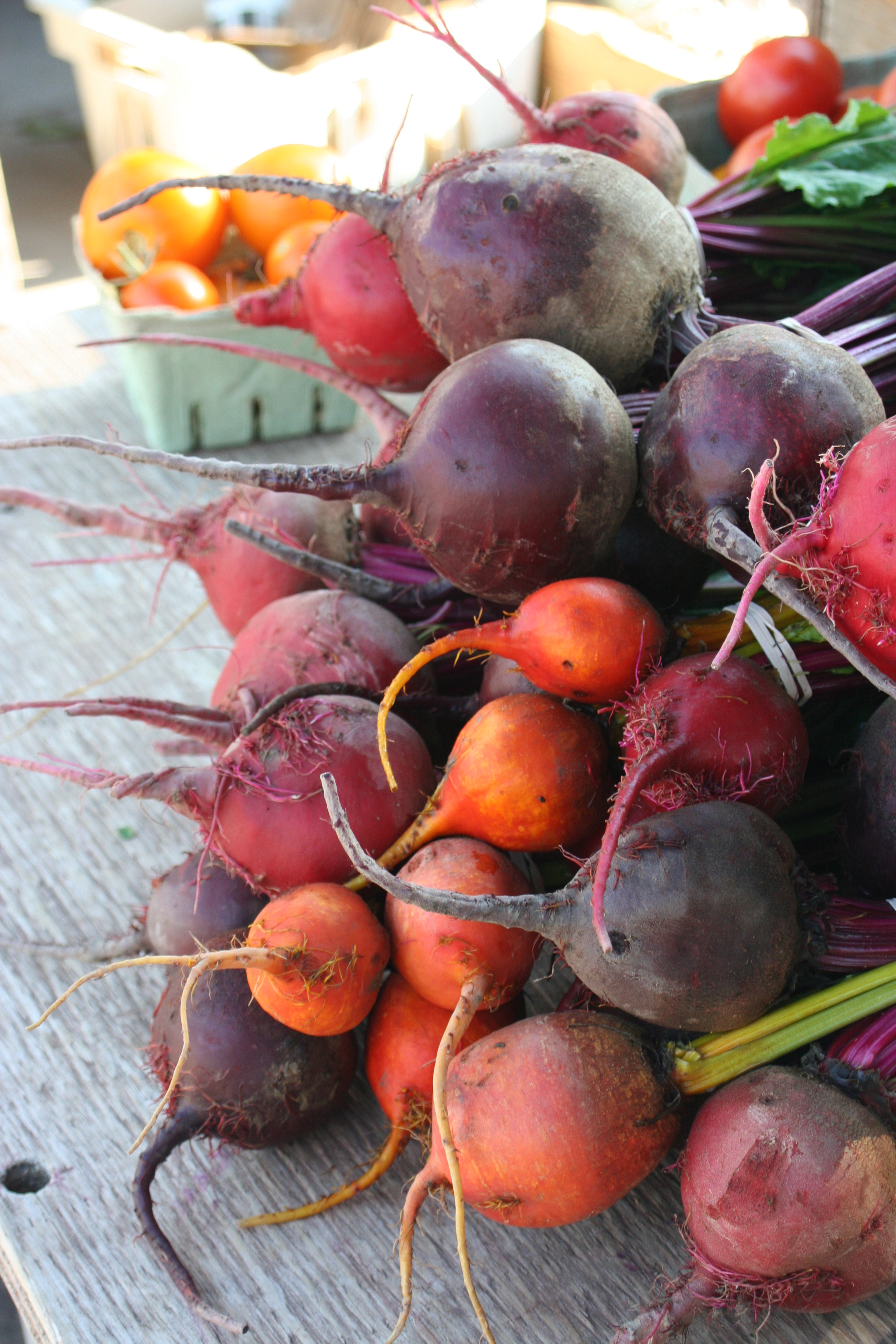 Beets 27Sept2014.JPG