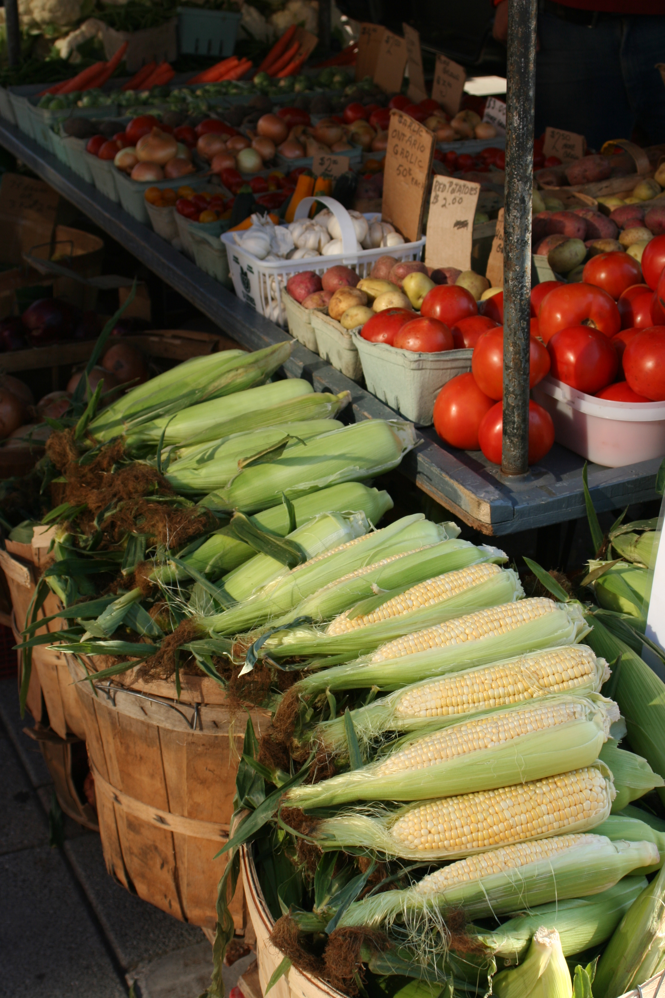 Veggies 27Sept2014.JPG