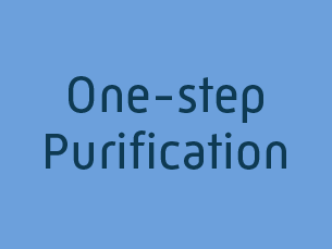 one step protein purification