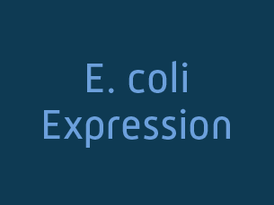 E. coli expression