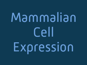 mammalian cell expression