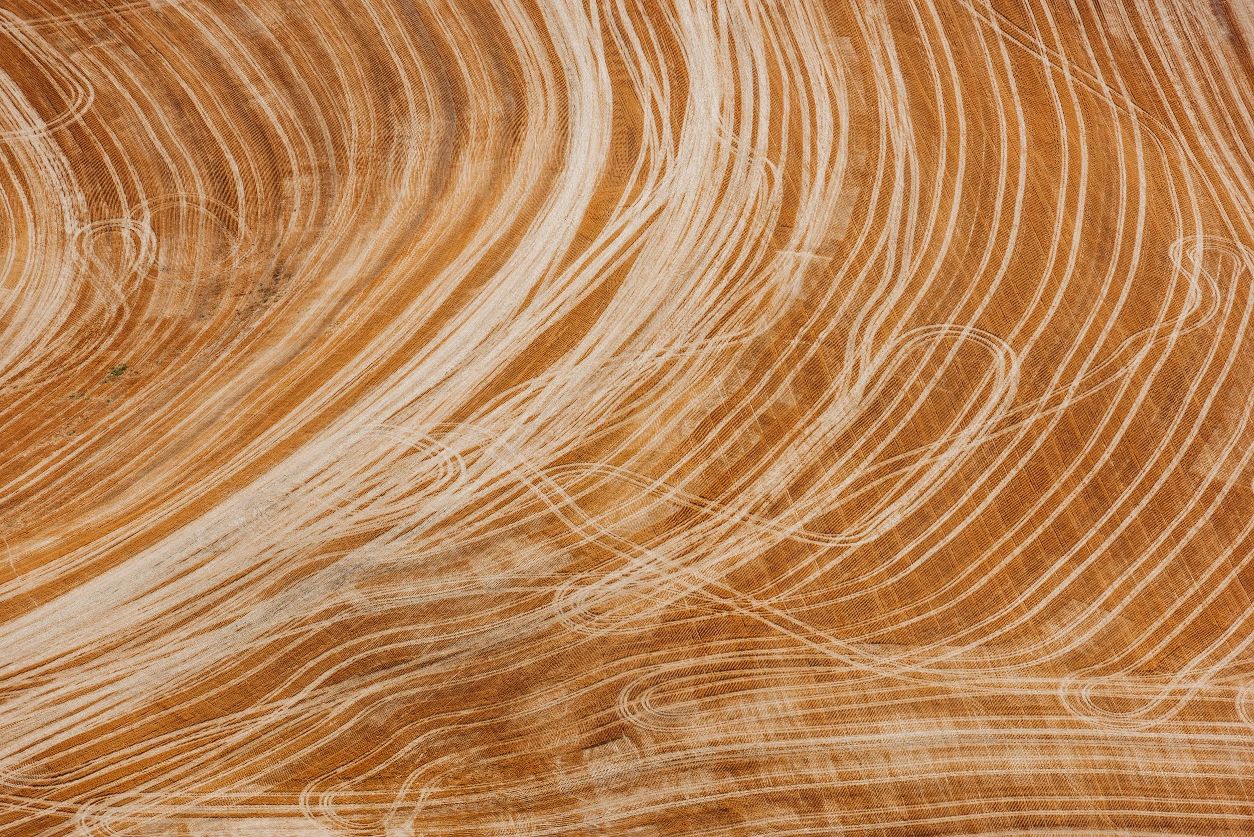 DAlvarado_JMcF_Grains_065_web.jpg