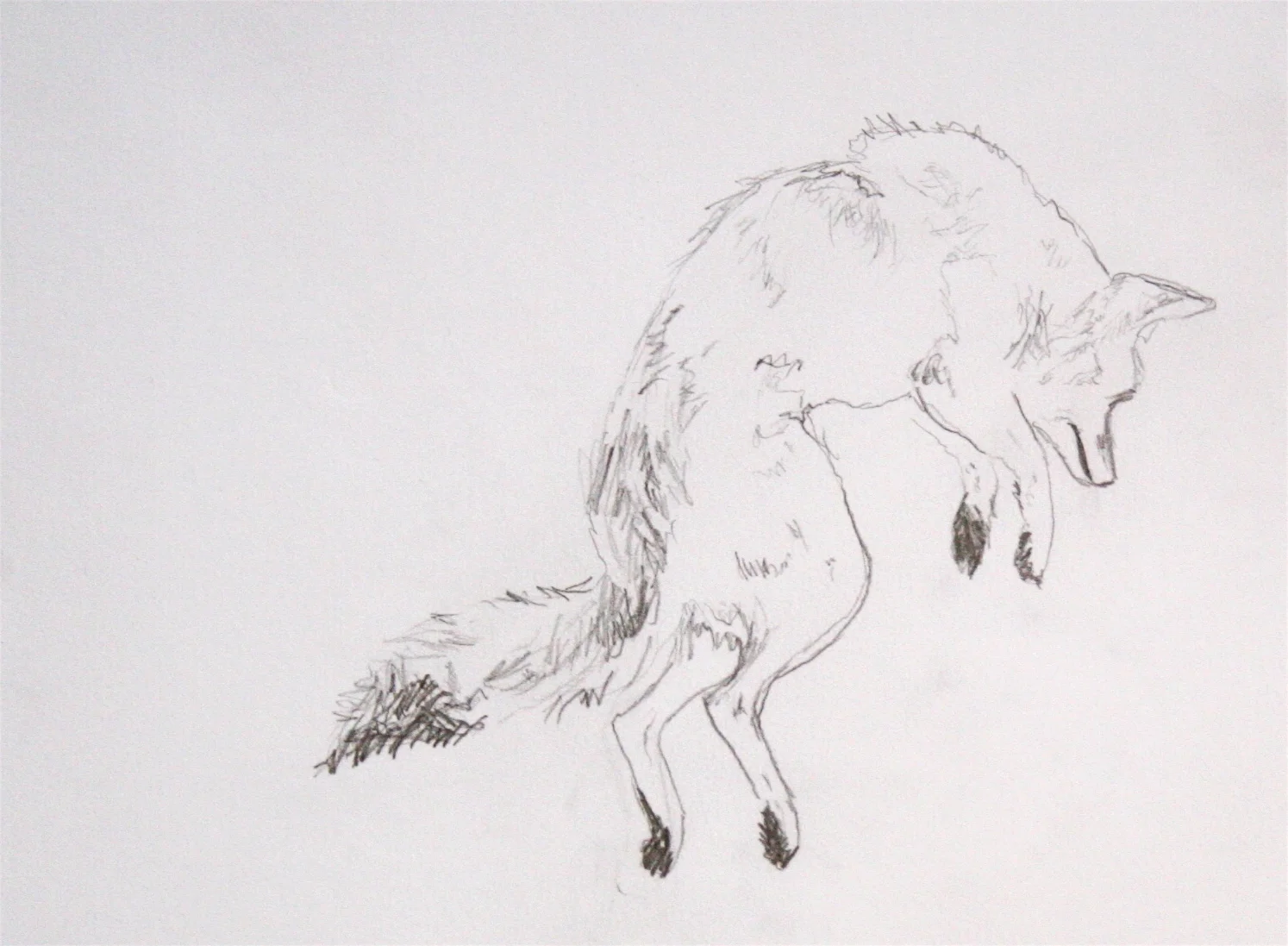 graphite on paper - 2007