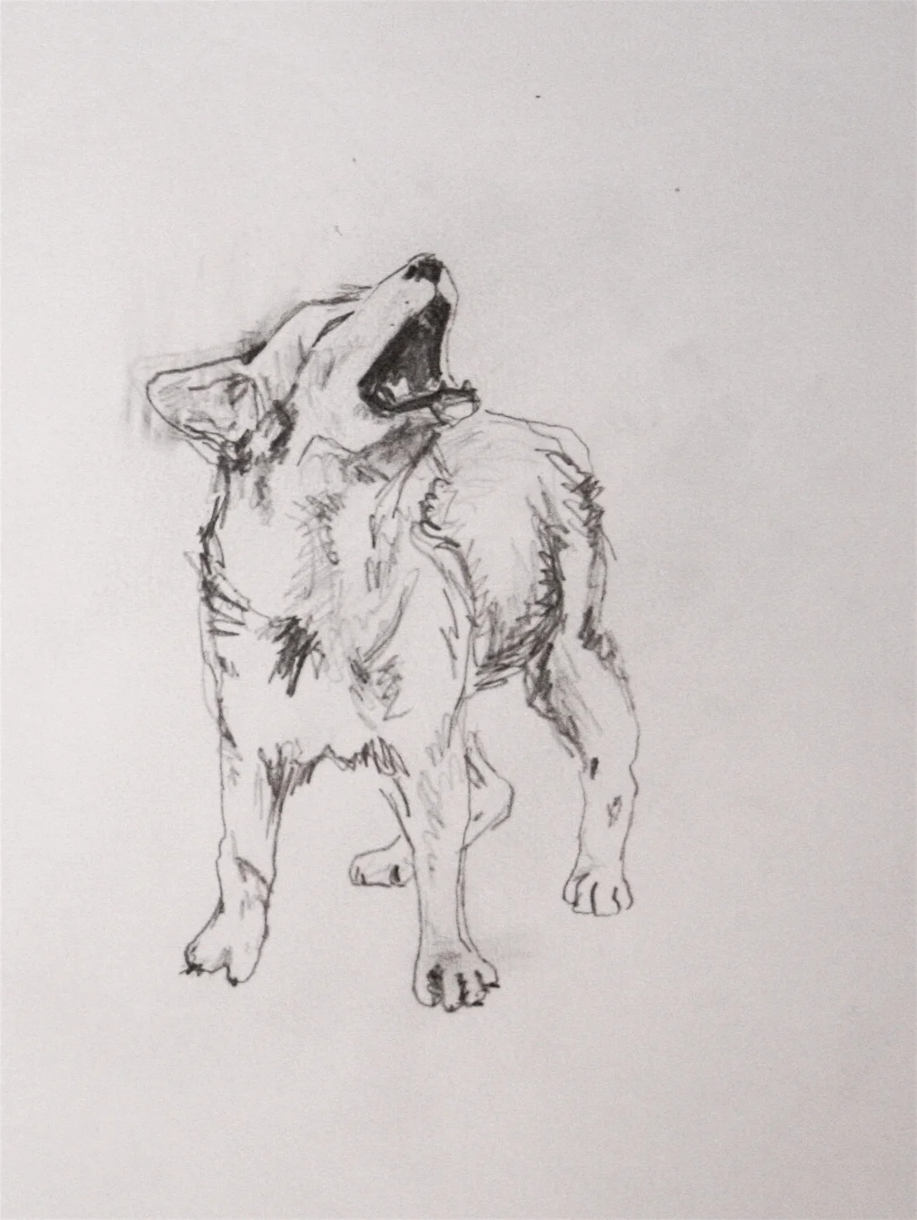 graphite on paper - 2007