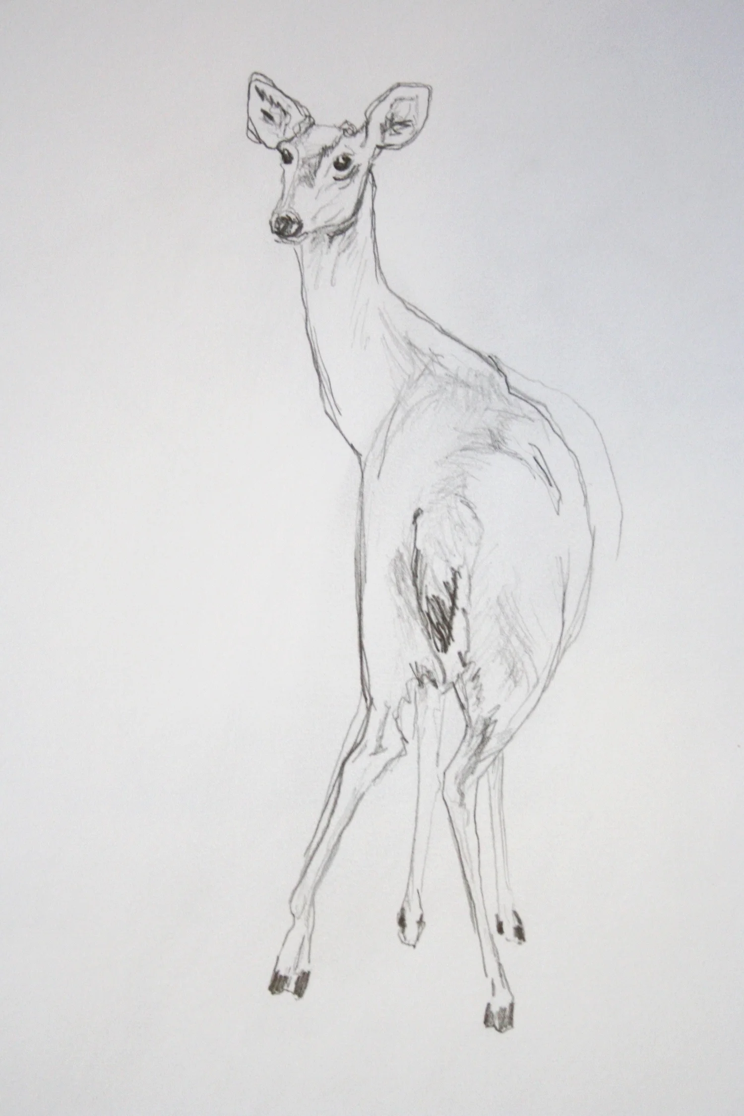 graphite on paper - 2007