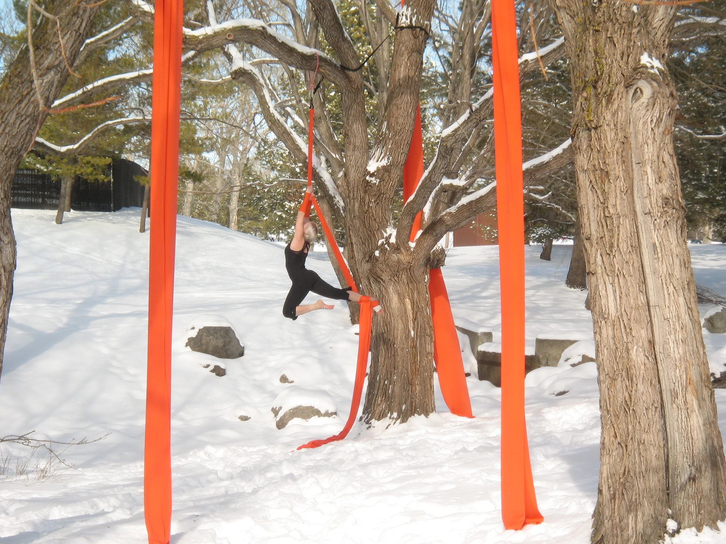 installation in hawrellak park - 2006