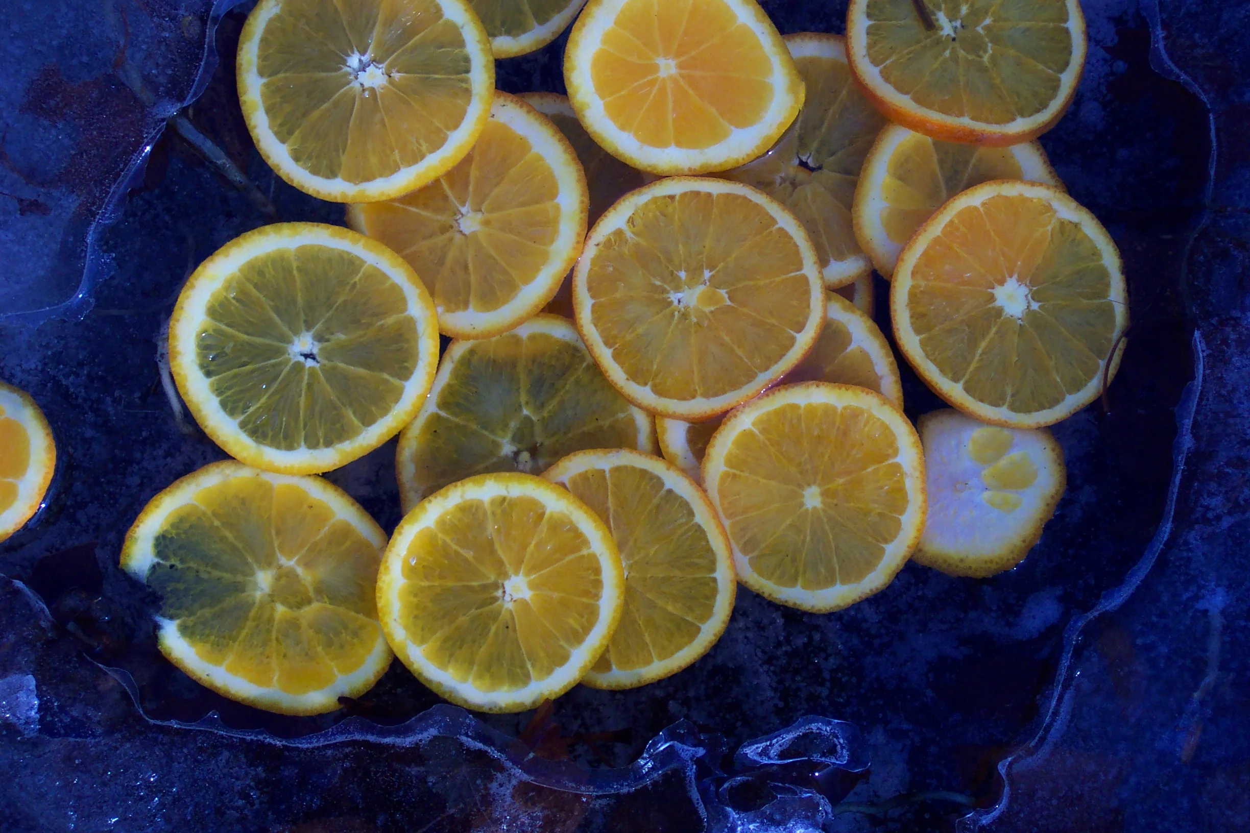 installation with fish, flowers & oranges in pond - 2006