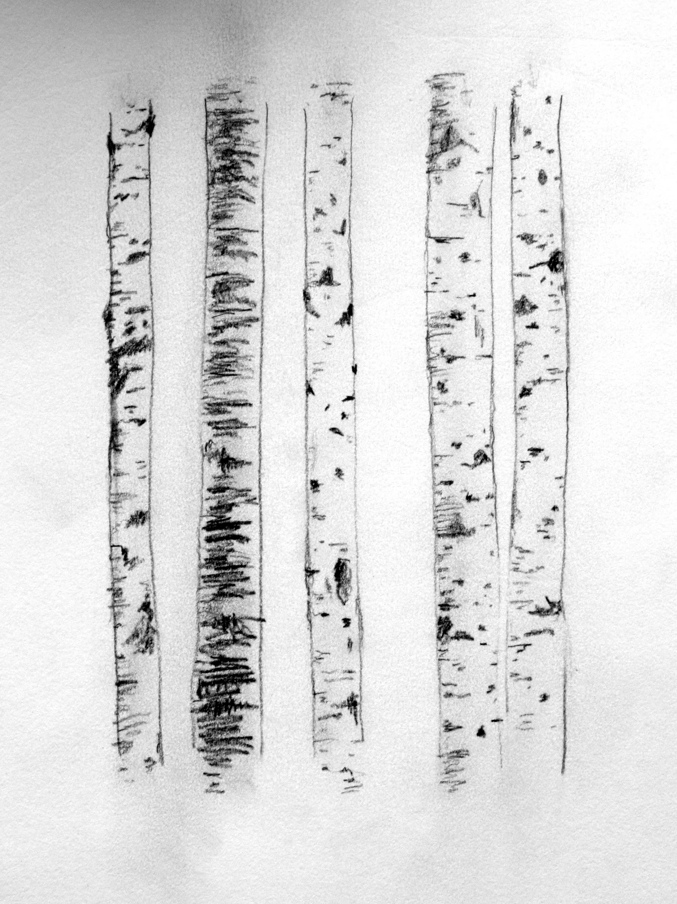 graphite on paper - 2004