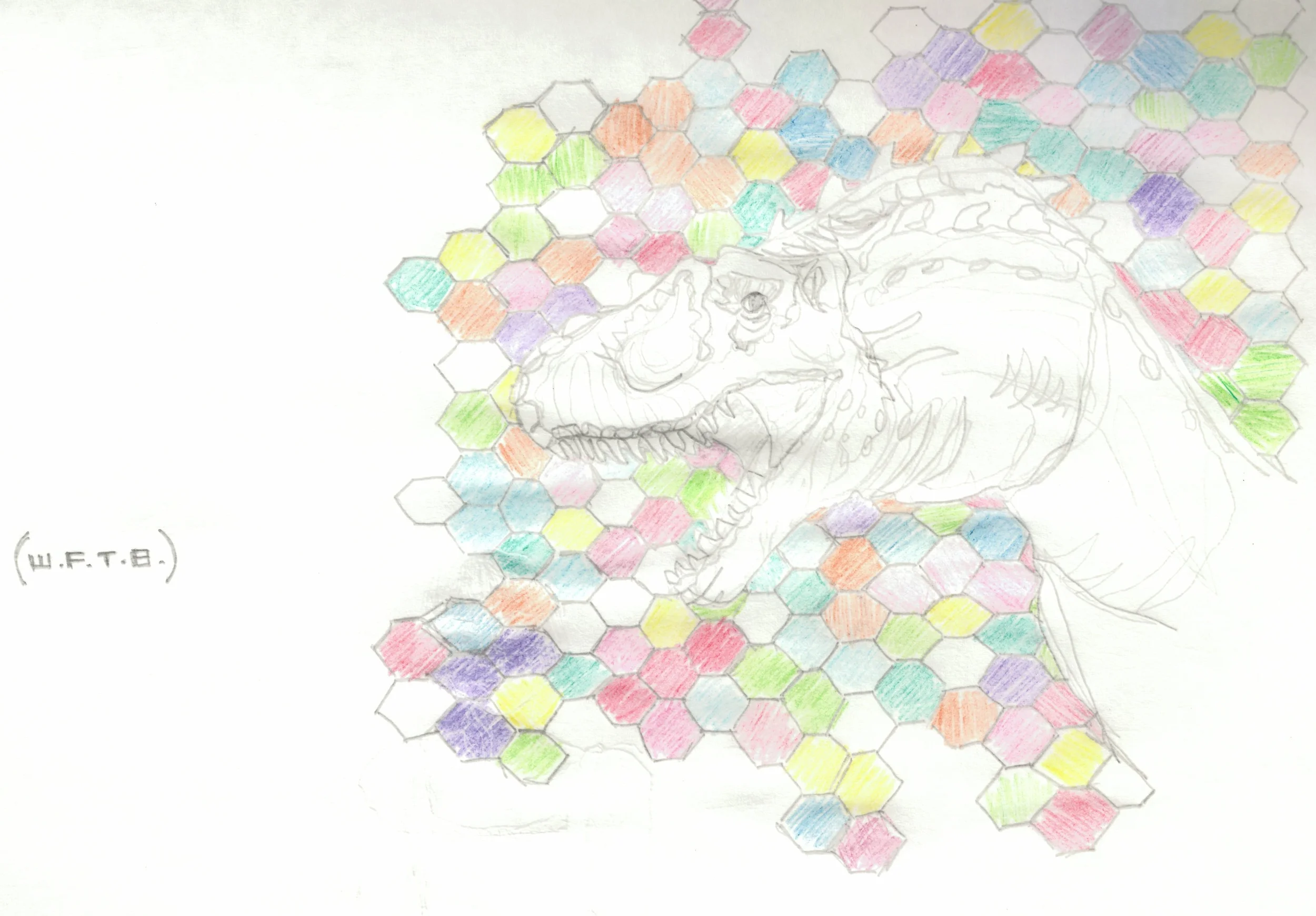 colour pencil & graphite on paper - 2011