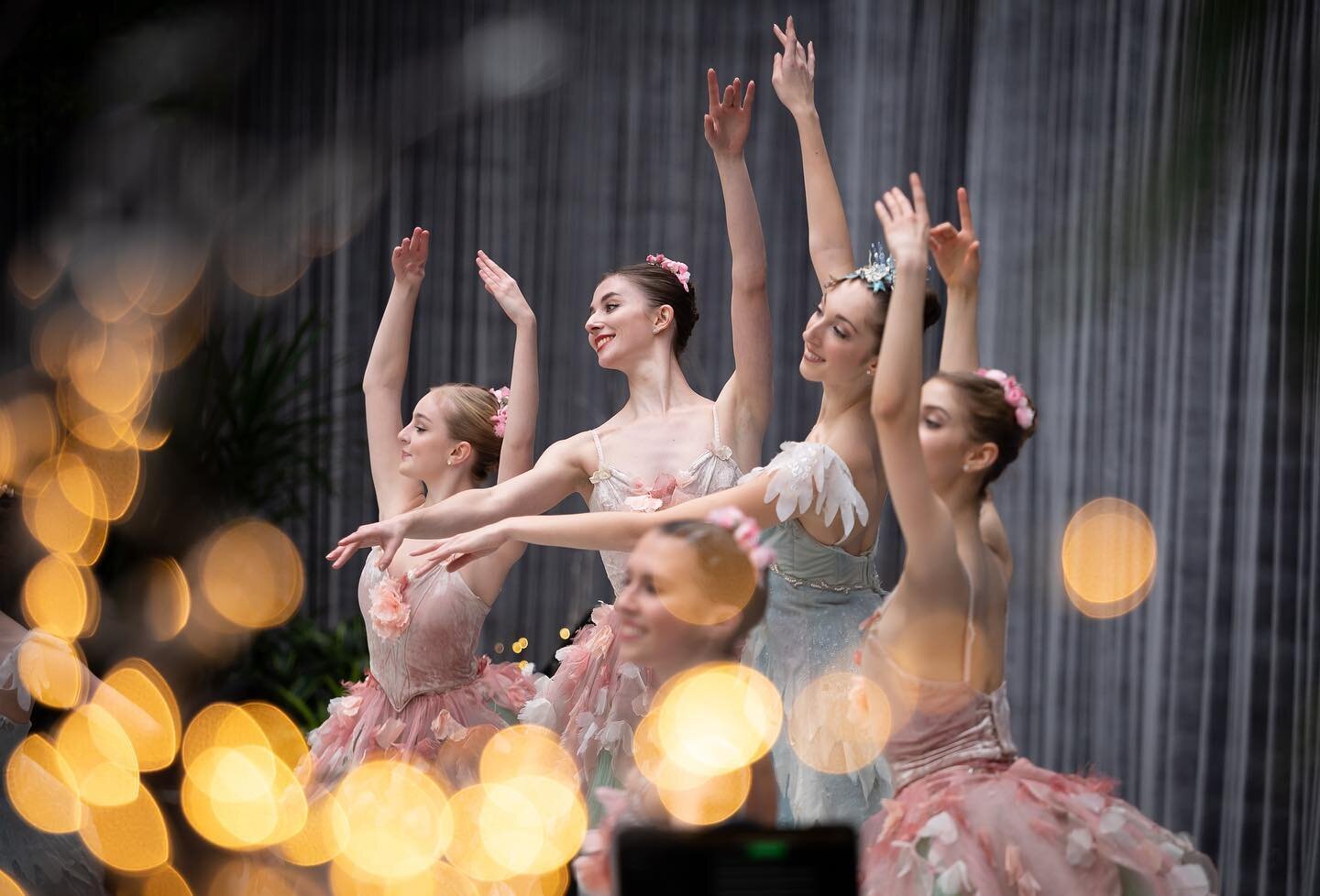 Speaking of a winter celebration at SAAM (Smithsonian @americanart Museum), the Nutcracker Family Day was the previous holiday event that I photographed, back in 2019. @thewashingtonballet dancers performed parts of The Nutcracker and taught the ball