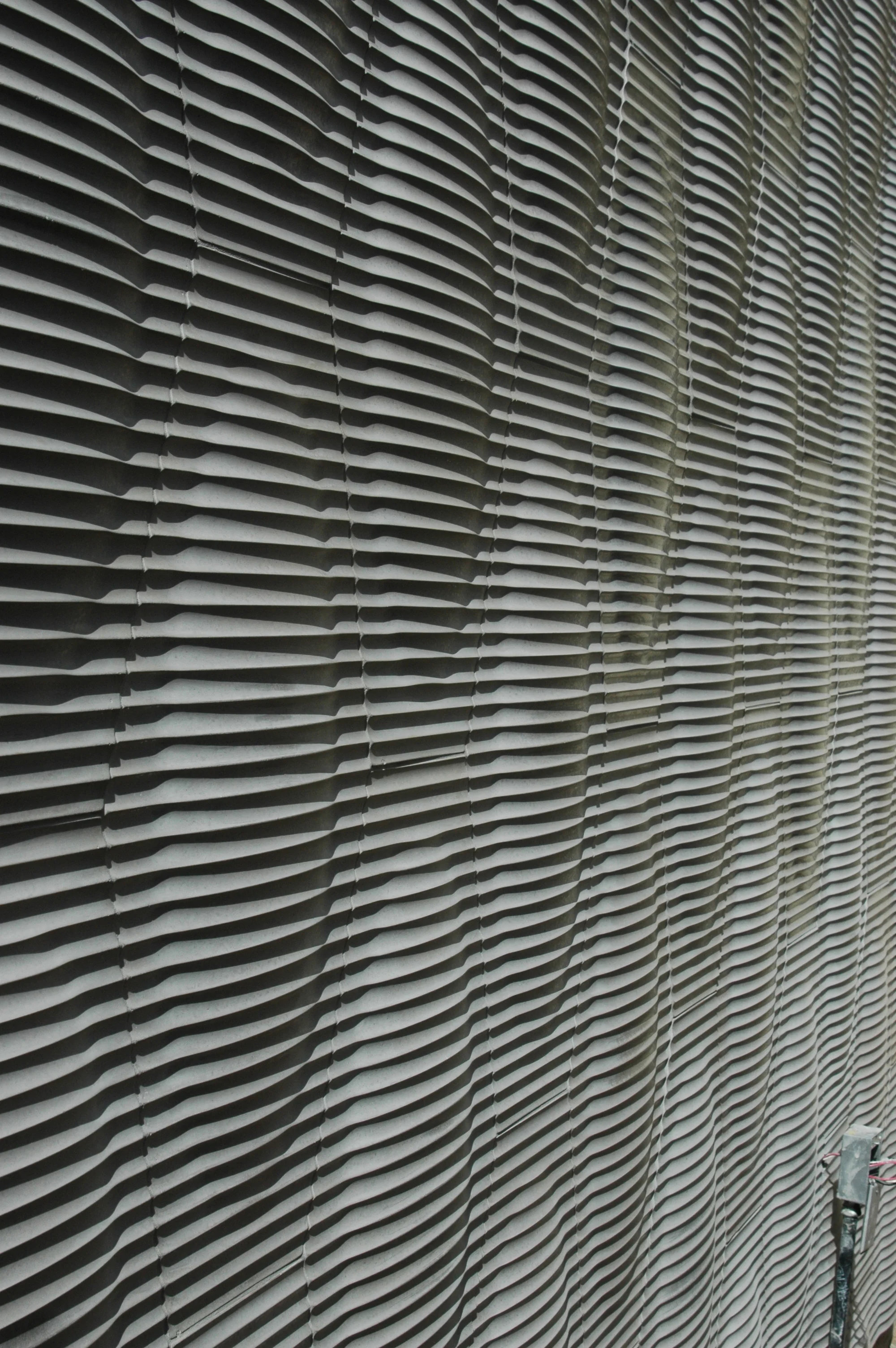DSC_0415.jpg