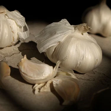 garlic.jpg
