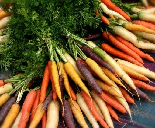 Organic Carrots.jpg